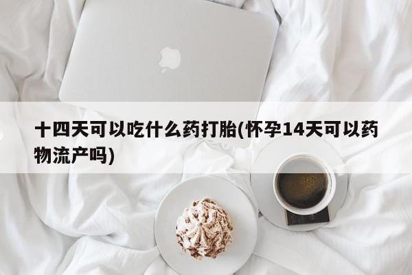买流产药的微信联系方式十四天可以吃什么药打胎(怀孕14天可以药物流产吗)